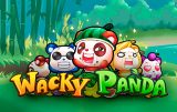 Wacky Panda
